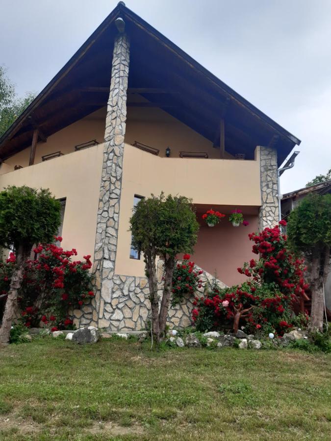 Vila Ionela Predelut Ngoại thất bức ảnh