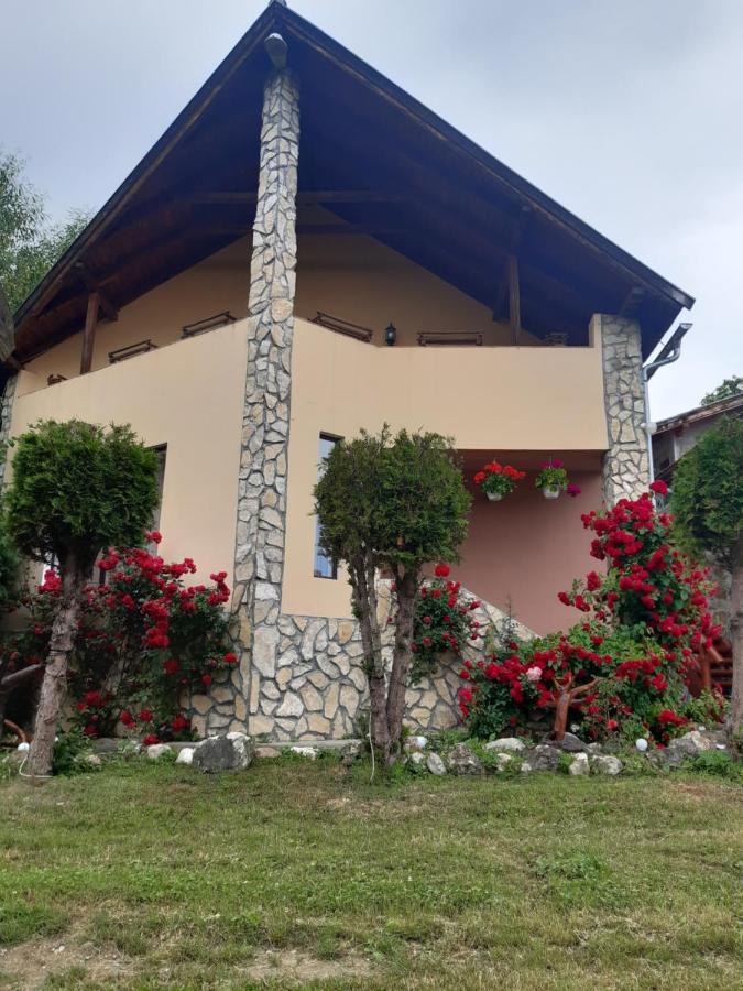 Vila Ionela Predelut Ngoại thất bức ảnh